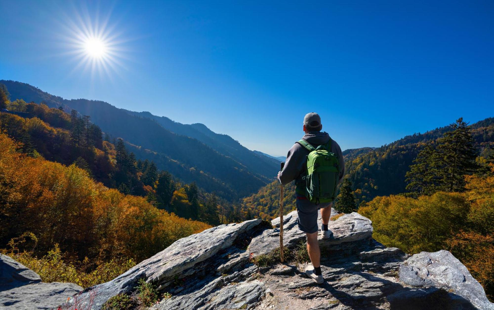 Breathtaking View, Hot Tub, 1089 Of Free Attraction Tickets For Each Paid Day, Dollywood And More! 세비어빌 외부 사진