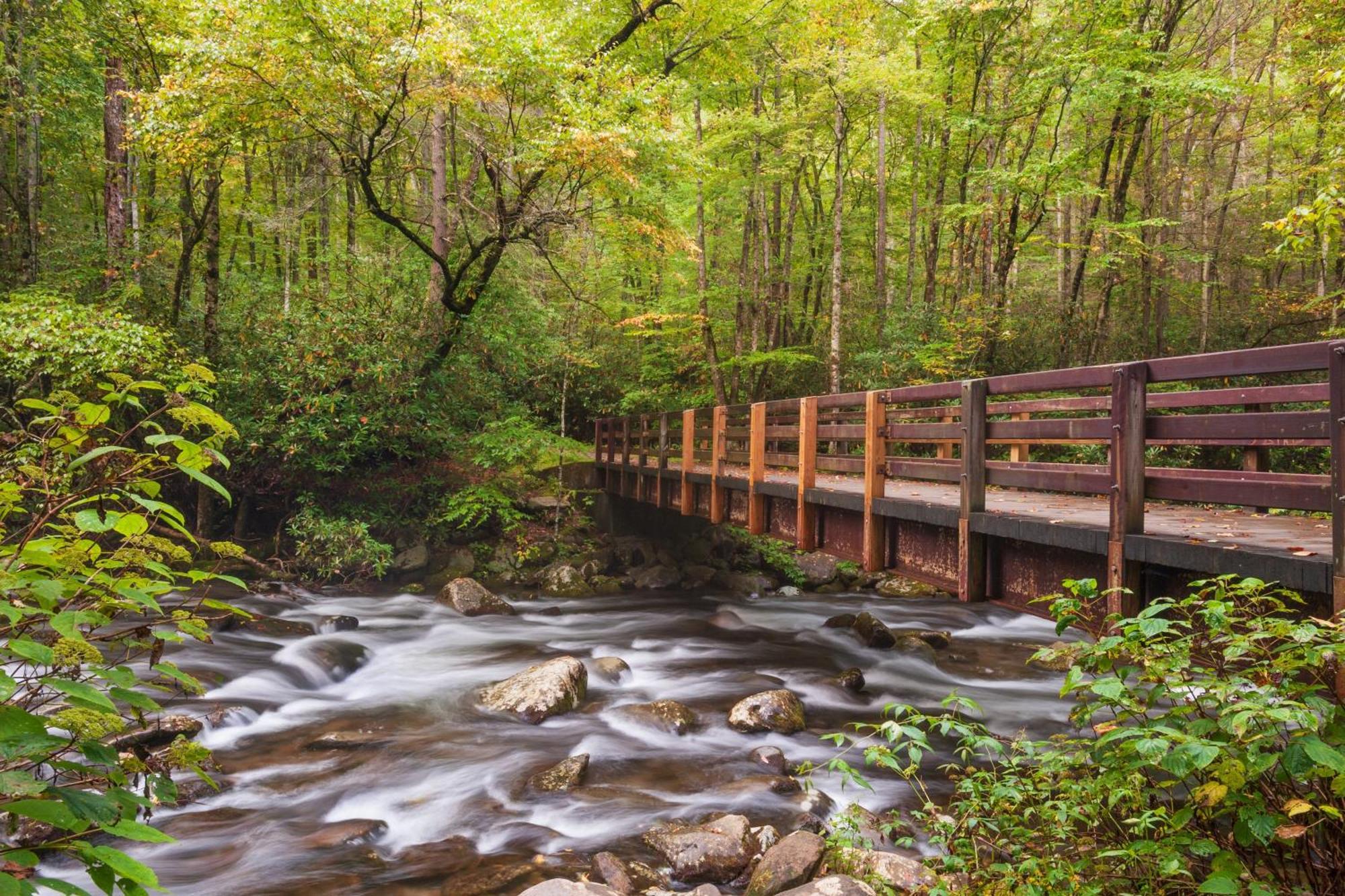 Breathtaking View, Hot Tub, 1089 Of Free Attraction Tickets For Each Paid Day, Dollywood And More! 세비어빌 외부 사진